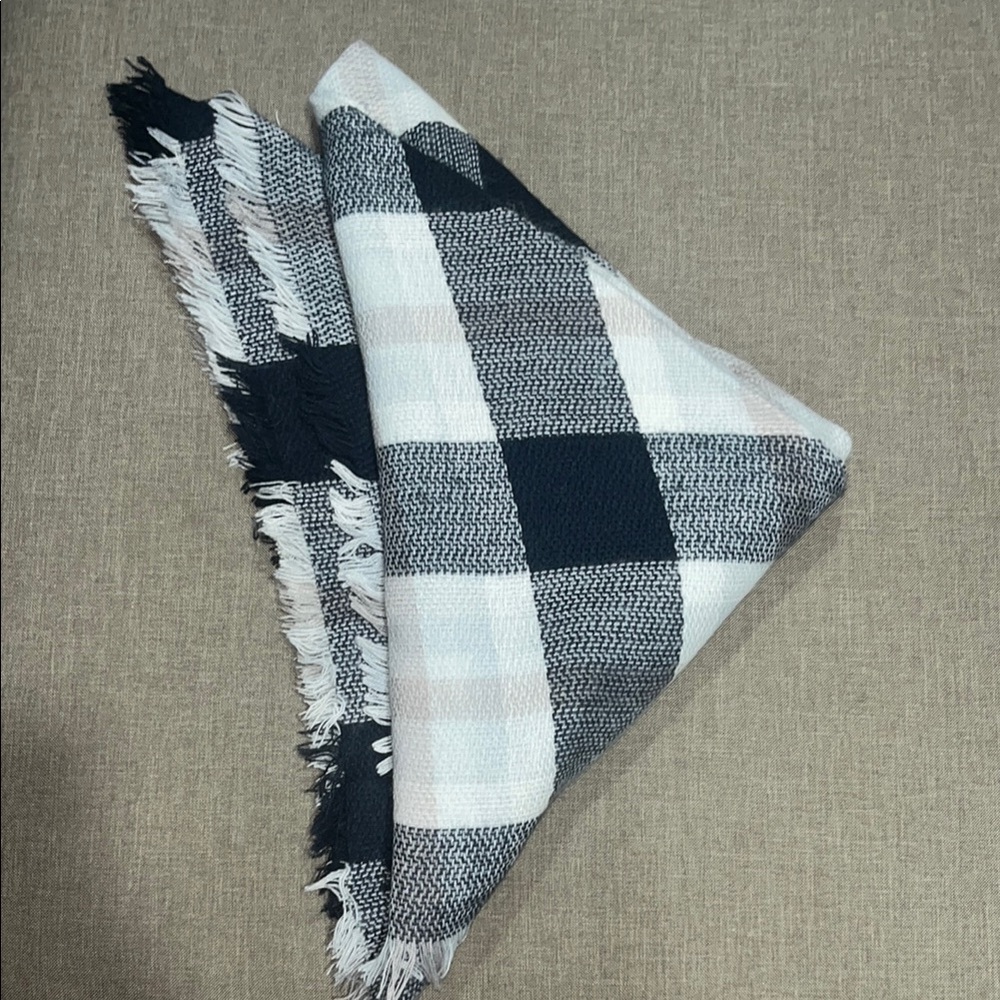 Chic Blue and White, and Pink Plaid Scarf